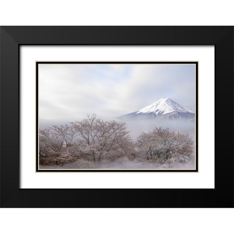 Mt.Fuji In Spring Black Modern Wood Framed Art Print with Double Matting by Iga, Ikuo