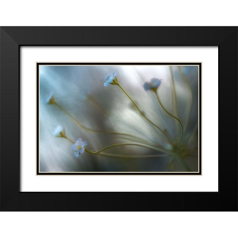 Jasmine Black Modern Wood Framed Art Print with Double Matting by Disher, Mandy