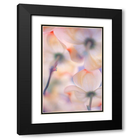 Under The Skirts Of Flowers Black Modern Wood Framed Art Print with Double Matting by Casanova, Francois