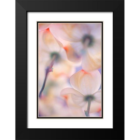 Under The Skirts Of Flowers Black Modern Wood Framed Art Print with Double Matting by Casanova, Francois