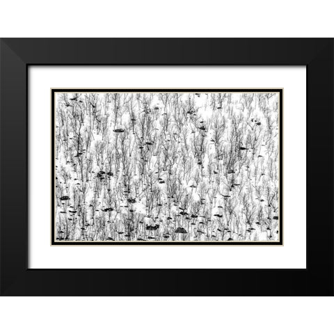 Little Trees Black Modern Wood Framed Art Print with Double Matting by Ghesquiere, Hilde