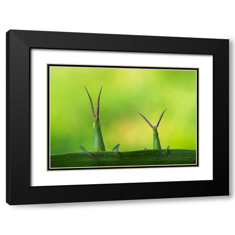 Macro Black Modern Wood Framed Art Print with Double Matting by Kamran, Mehdi