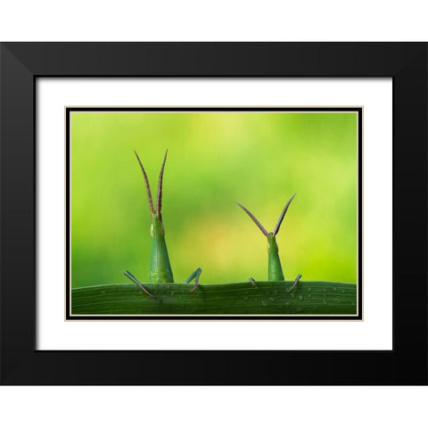Macro Black Modern Wood Framed Art Print with Double Matting by Kamran, Mehdi