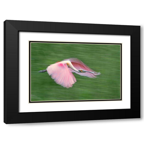 Pink And Green Black Modern Wood Framed Art Print with Double Matting by Chang, Cheng