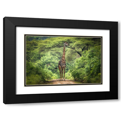 Unexpected Meeting Black Modern Wood Framed Art Print with Double Matting by Trubitsyn, Kirill