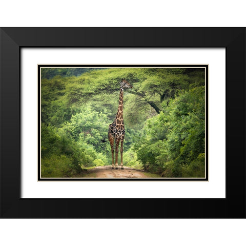 Unexpected Meeting Black Modern Wood Framed Art Print with Double Matting by Trubitsyn, Kirill