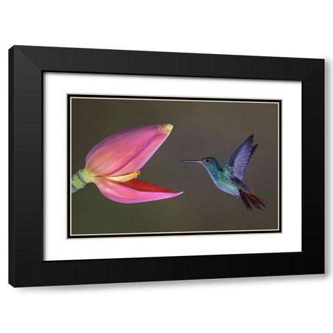 Target Practice Black Modern Wood Framed Art Print with Double Matting by Barsh, Greg