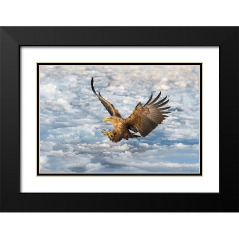 Coming Black Modern Wood Framed Art Print with Double Matting by Mei, C.