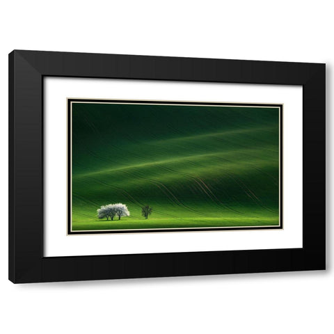 Ladies In White Black Modern Wood Framed Art Print with Double Matting by Sokolovsky, Vlad