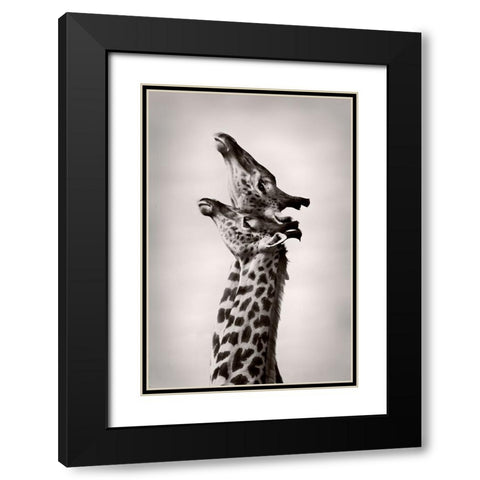 True Love Black Modern Wood Framed Art Print with Double Matting by WildPhotoArt