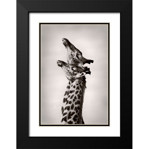 True Love Black Modern Wood Framed Art Print with Double Matting by WildPhotoArt