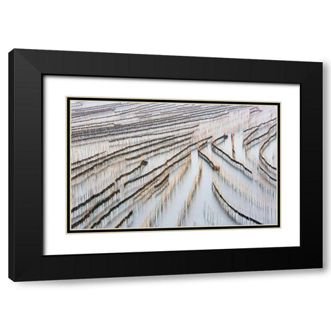 Harvesting Kelp Black Modern Wood Framed Art Print with Double Matting by Zhou, Xinhua