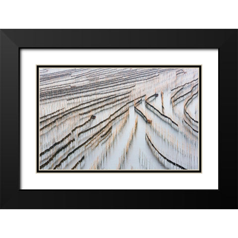 Harvesting Kelp Black Modern Wood Framed Art Print with Double Matting by Zhou, Xinhua