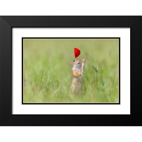 Reaching Out Black Modern Wood Framed Art Print with Double Matting by Spranz, Henrik