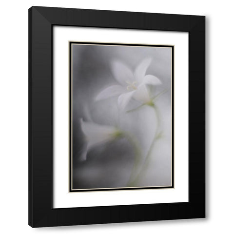 Bells Black Modern Wood Framed Art Print with Double Matting by Reindl, Doris