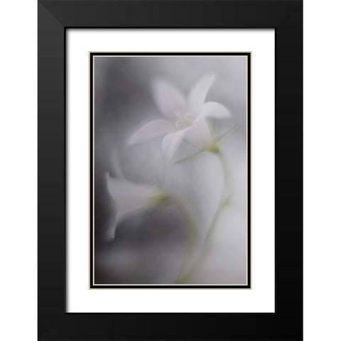 Bells Black Modern Wood Framed Art Print with Double Matting by Reindl, Doris