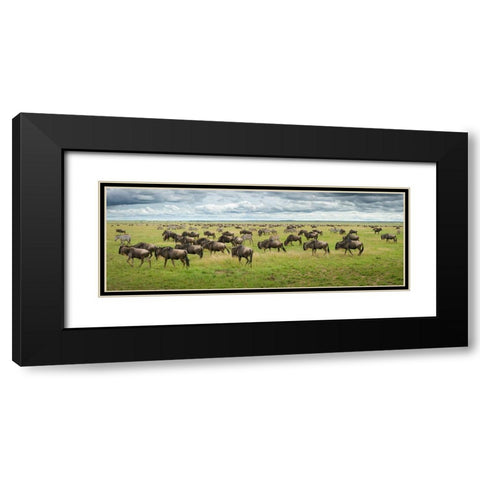 Great Migration In Serengeti Plains Black Modern Wood Framed Art Print with Double Matting by Trubitsyn, Kirill