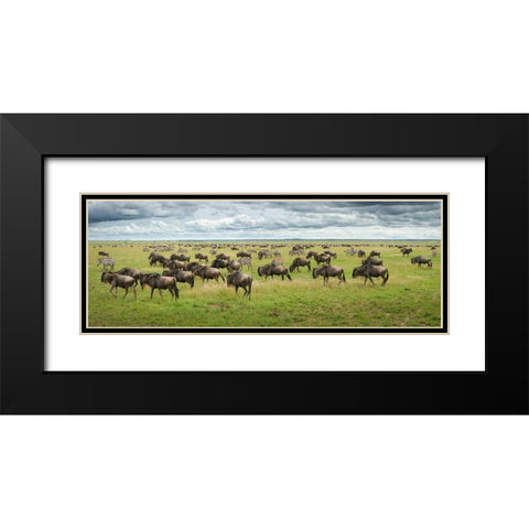 Great Migration In Serengeti Plains Black Modern Wood Framed Art Print with Double Matting by Trubitsyn, Kirill