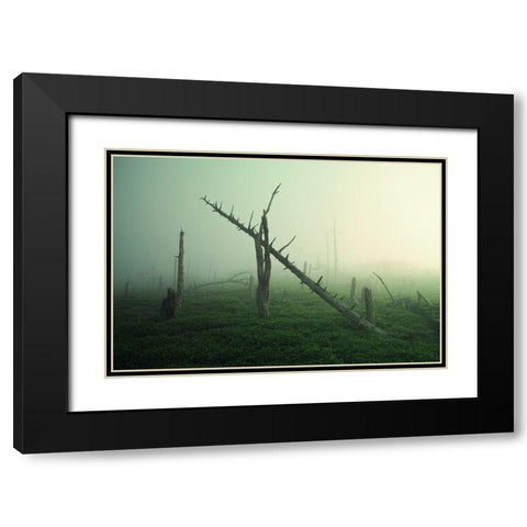 Beautiful Rot Black Modern Wood Framed Art Print with Double Matting by Sugimoto, Koji