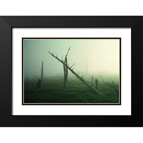 Beautiful Rot Black Modern Wood Framed Art Print with Double Matting by Sugimoto, Koji