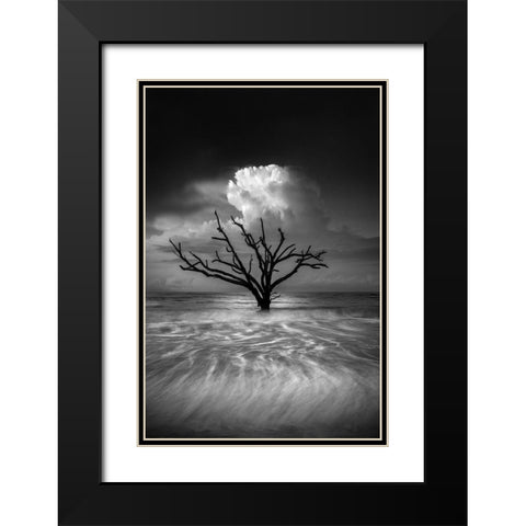 Oceanus Black Modern Wood Framed Art Print with Double Matting by Moore, Chris
