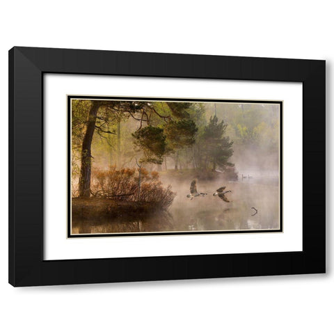 Goose Fight Black Modern Wood Framed Art Print with Double Matting by Van Dongen, Anton