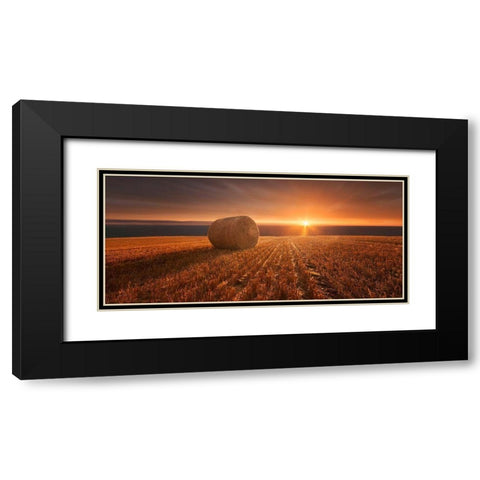 Gold Harvest Black Modern Wood Framed Art Print with Double Matting by Krakowski, Marcin