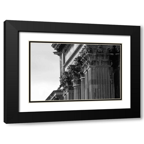 Architectural Detail, Blenheim Palace Black Modern Wood Framed Art Print with Double Matting by Blue, Cyril
