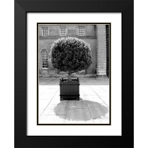 Architectural Detail, Blenheim Palace Black Modern Wood Framed Art Print with Double Matting by Blue, Cyril