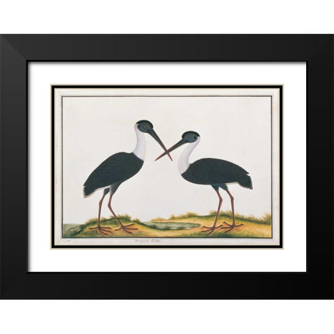 Bangou Eatan, Crane Black Modern Wood Framed Art Print with Double Matting by Anonymous