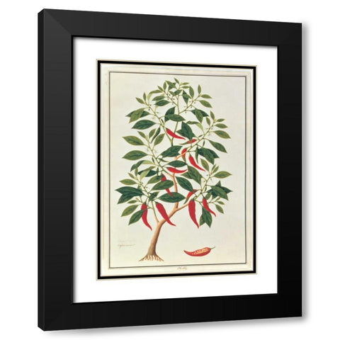 Chile Black Modern Wood Framed Art Print with Double Matting by Anonymous