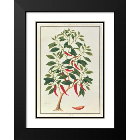 Chile Black Modern Wood Framed Art Print with Double Matting by Anonymous