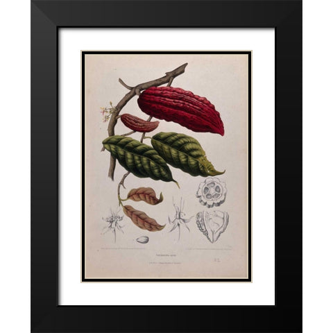 Cacao Black Modern Wood Framed Art Print with Double Matting by Van Nooten, Madame