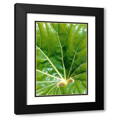 Tropical Leaf Black Modern Wood Framed Art Print with Double Matting by Blue, Cyril