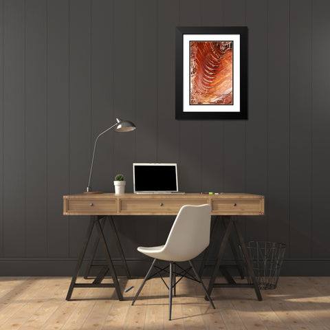 Palm Bark Black Modern Wood Framed Art Print with Double Matting by Blue, Cyril