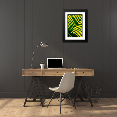 Palm Frond Black Modern Wood Framed Art Print with Double Matting by Blue, Cyril