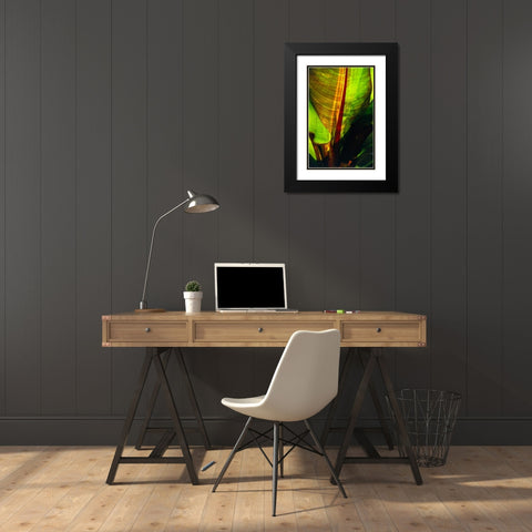 Palm Frond Black Modern Wood Framed Art Print with Double Matting by Blue, Cyril
