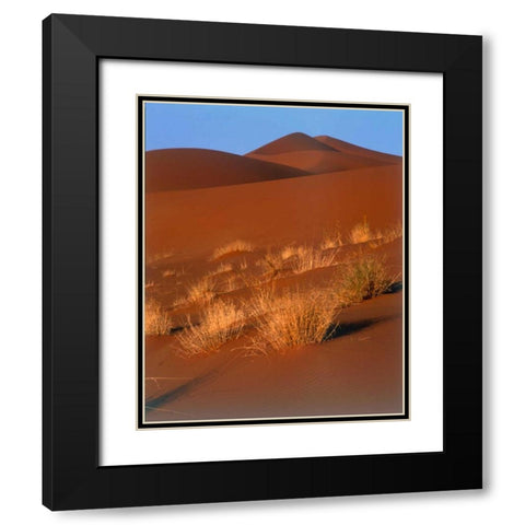 Grasses, Sand Dunes Sahara Black Modern Wood Framed Art Print with Double Matting by Blue, Cyril