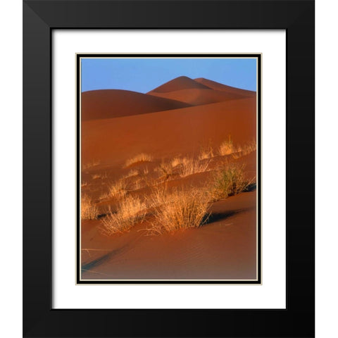 Grasses, Sand Dunes Sahara Black Modern Wood Framed Art Print with Double Matting by Blue, Cyril