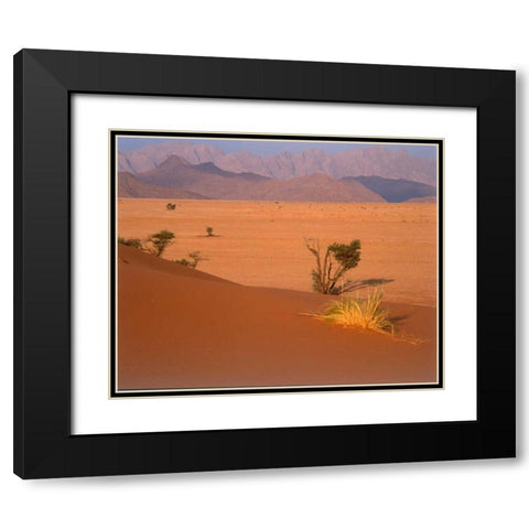 Grasses, Trees, Sand Dunes Sahara Black Modern Wood Framed Art Print with Double Matting by Blue, Cyril