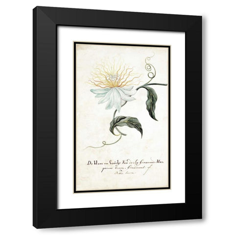Passion Tree Black Modern Wood Framed Art Print with Double Matting by Markee, Cornelis