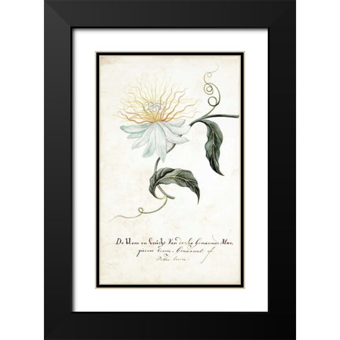 Passion Tree Black Modern Wood Framed Art Print with Double Matting by Markee, Cornelis