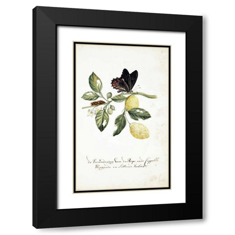 Limmetijen Tree, Butterflies Black Modern Wood Framed Art Print with Double Matting by Markee, Cornelis