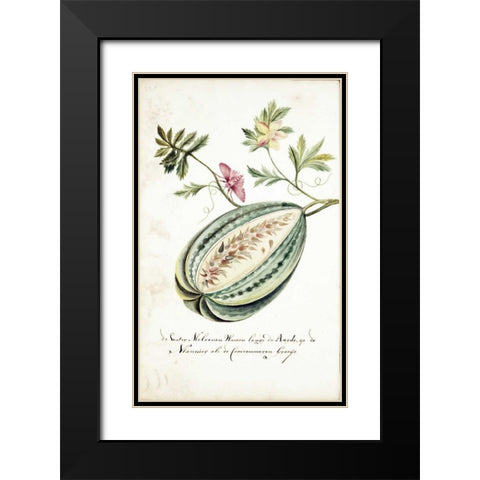 Watermelon, Leaves, Butterfly Black Modern Wood Framed Art Print with Double Matting by Markee, Cornelis