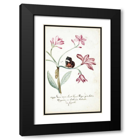 Jasmine Tree Branch, Caterpillar Black Modern Wood Framed Art Print with Double Matting by Markee, Cornelis