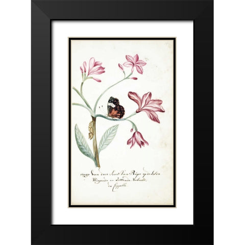 Jasmine Tree Branch, Caterpillar Black Modern Wood Framed Art Print with Double Matting by Markee, Cornelis