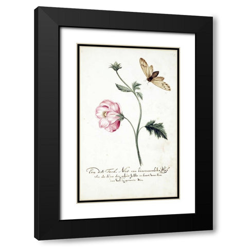 Anemone, Surinam Fly Black Modern Wood Framed Art Print with Double Matting by Markee, Cornelis