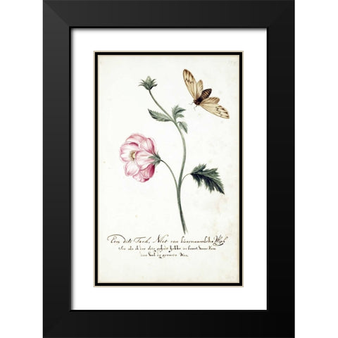 Anemone, Surinam Fly Black Modern Wood Framed Art Print with Double Matting by Markee, Cornelis