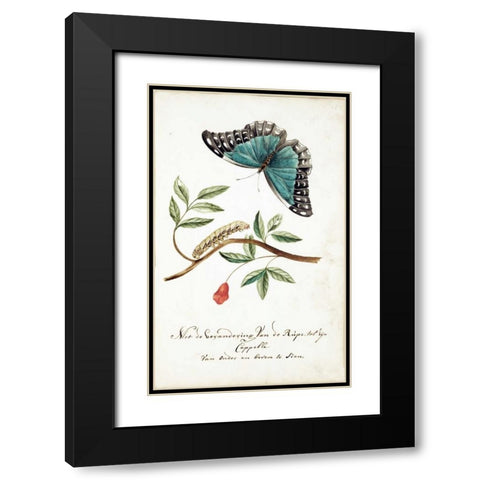 Plant With Leaves, Caterpillar, Butterfly Black Modern Wood Framed Art Print with Double Matting by Markee, Cornelis