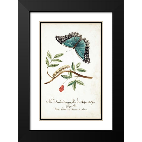 Plant With Leaves, Caterpillar, Butterfly Black Modern Wood Framed Art Print with Double Matting by Markee, Cornelis